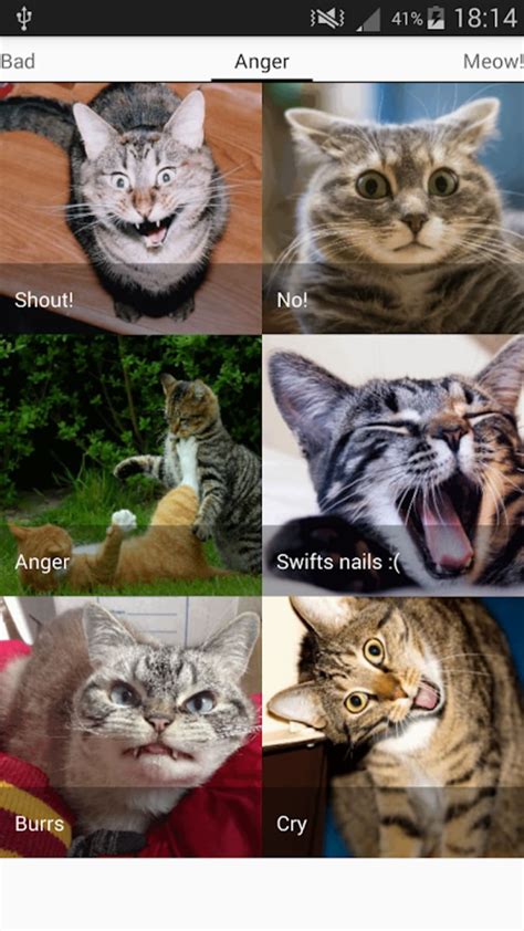 apkcat .